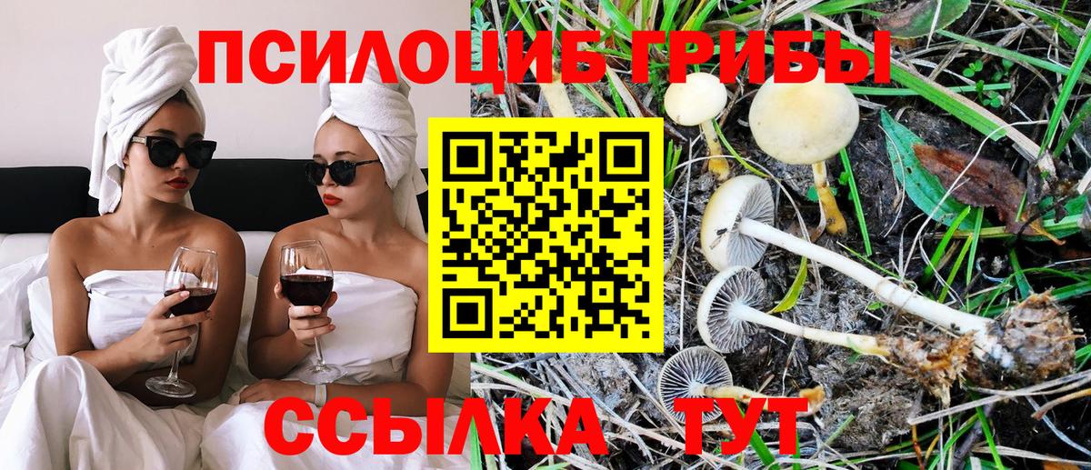 Псилоцибиновые грибы Cubensis  Вход с VPN  Галлюциногенные грибы прущие грибы  Югорск 